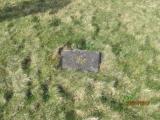 image of grave number 778647